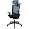 Emma and Oliver Ergonomic Mesh Office Chair-Synchro-Tilt, Pivot Headrest, Adjustable Arms